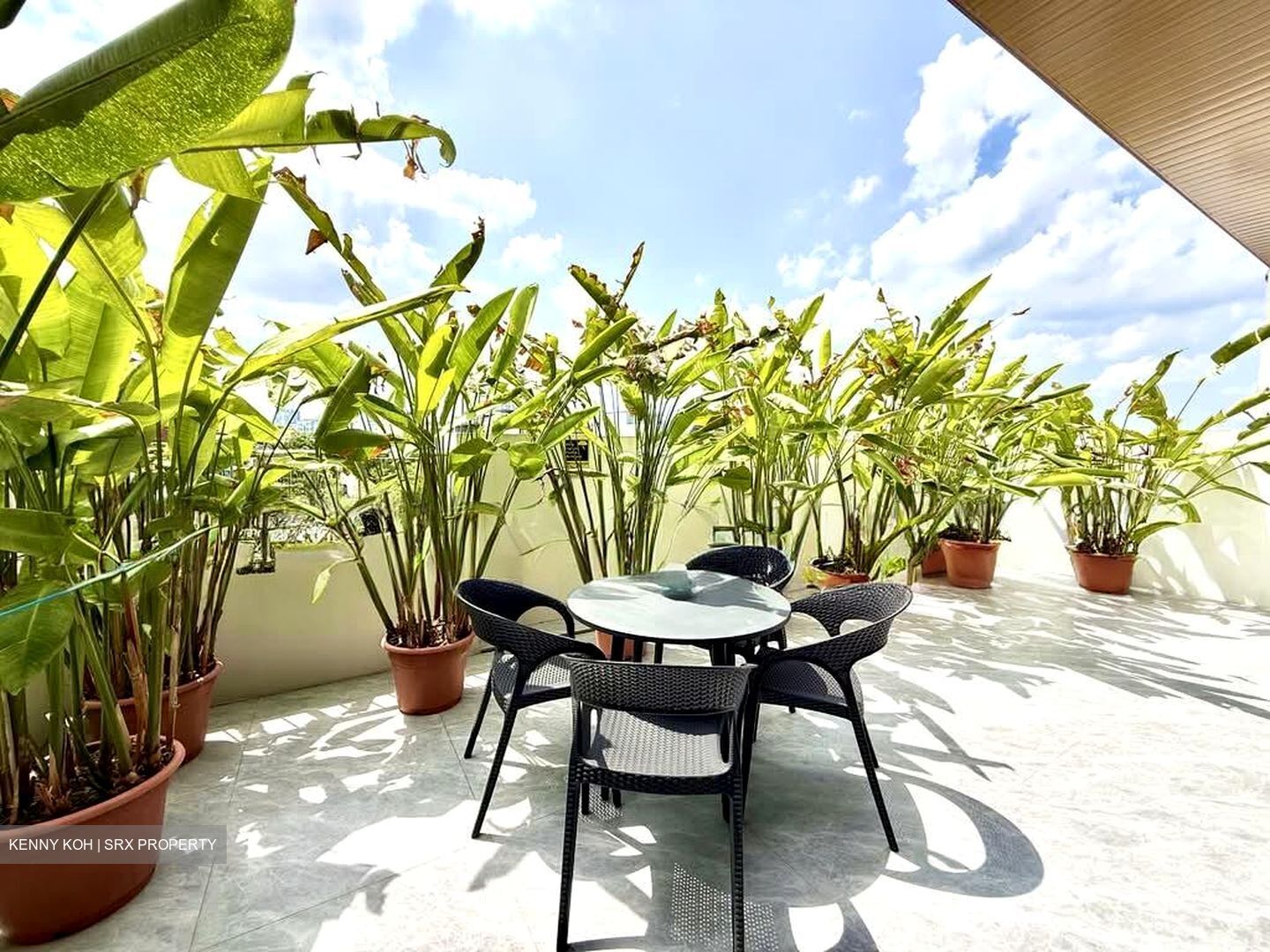 Serangoon Garden Estate (D19), Semi-Detached #543398261